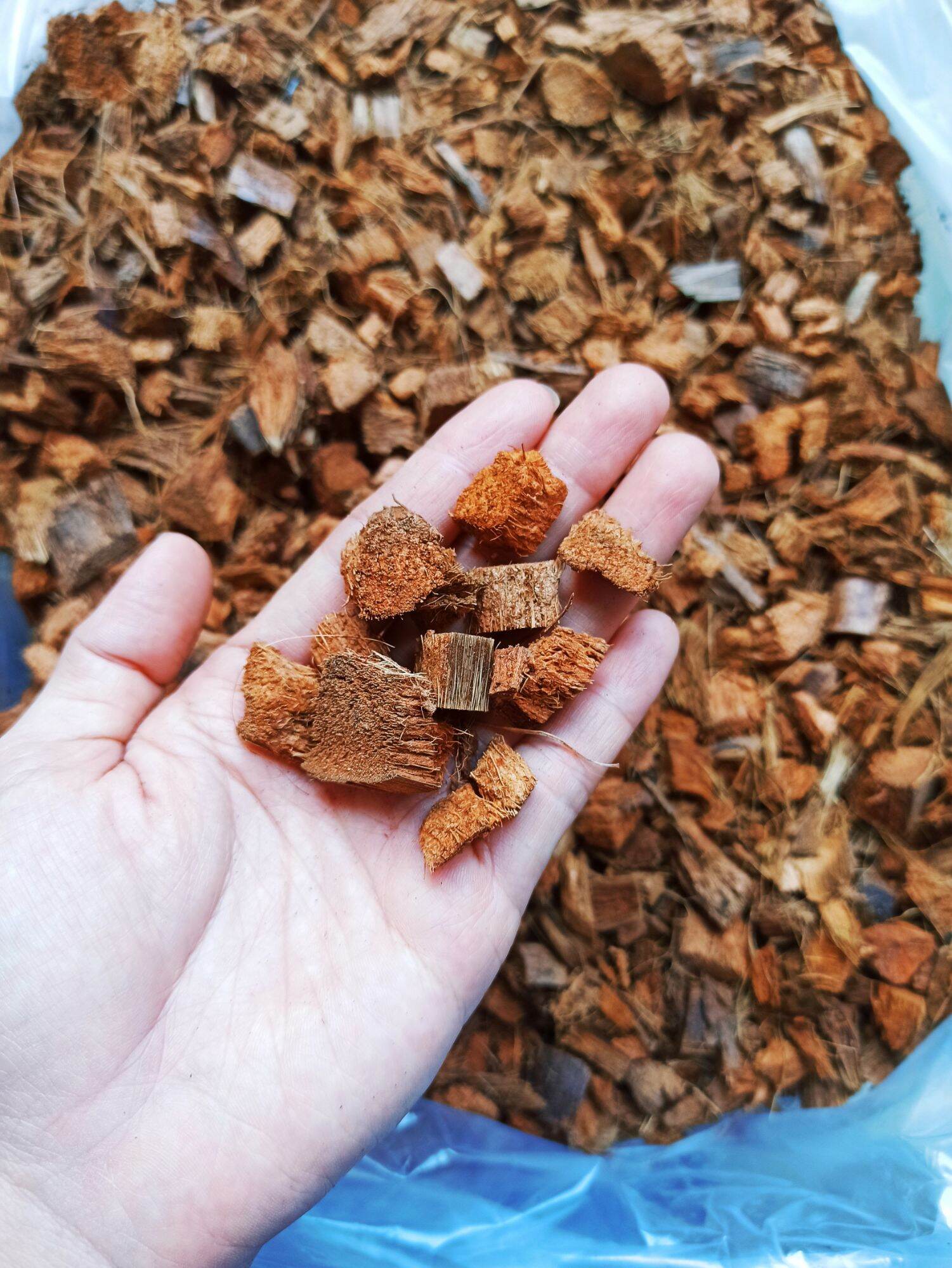 Xơ dừa cục đã qua xử lí trồng lan, kiểng lá túi 500g