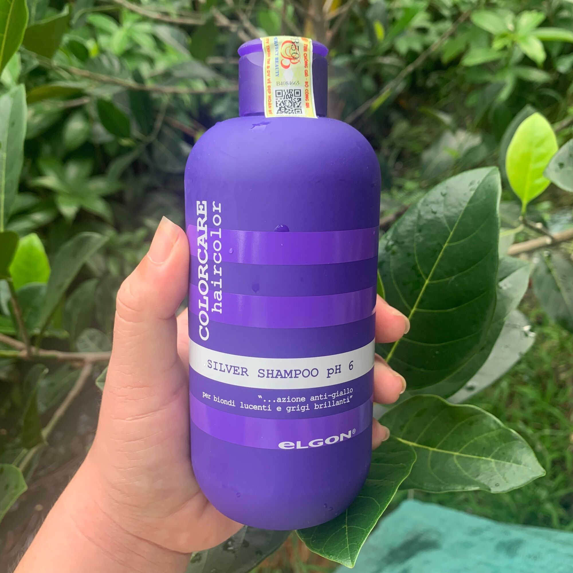 Dầu gội xả tím khử vàng elgon - silver shampoo 300ml