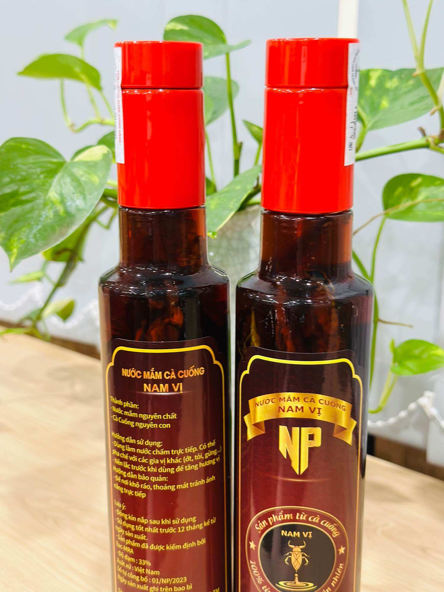 Nước mắm cà cuống 330ml và 2 con cà cuống đực