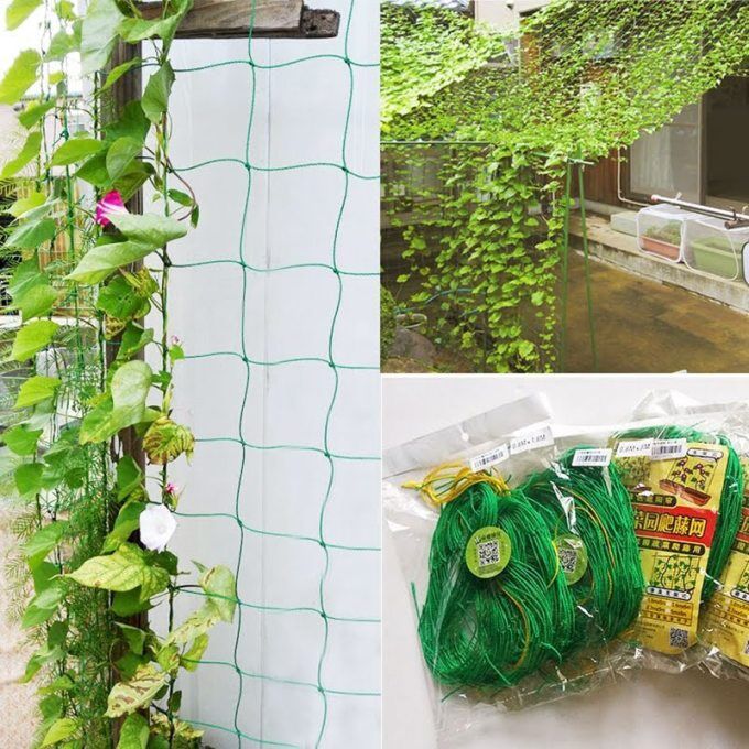 Combo 10 lưới làm giàn dây leo ollie net fl-1on 3.6x1.8m