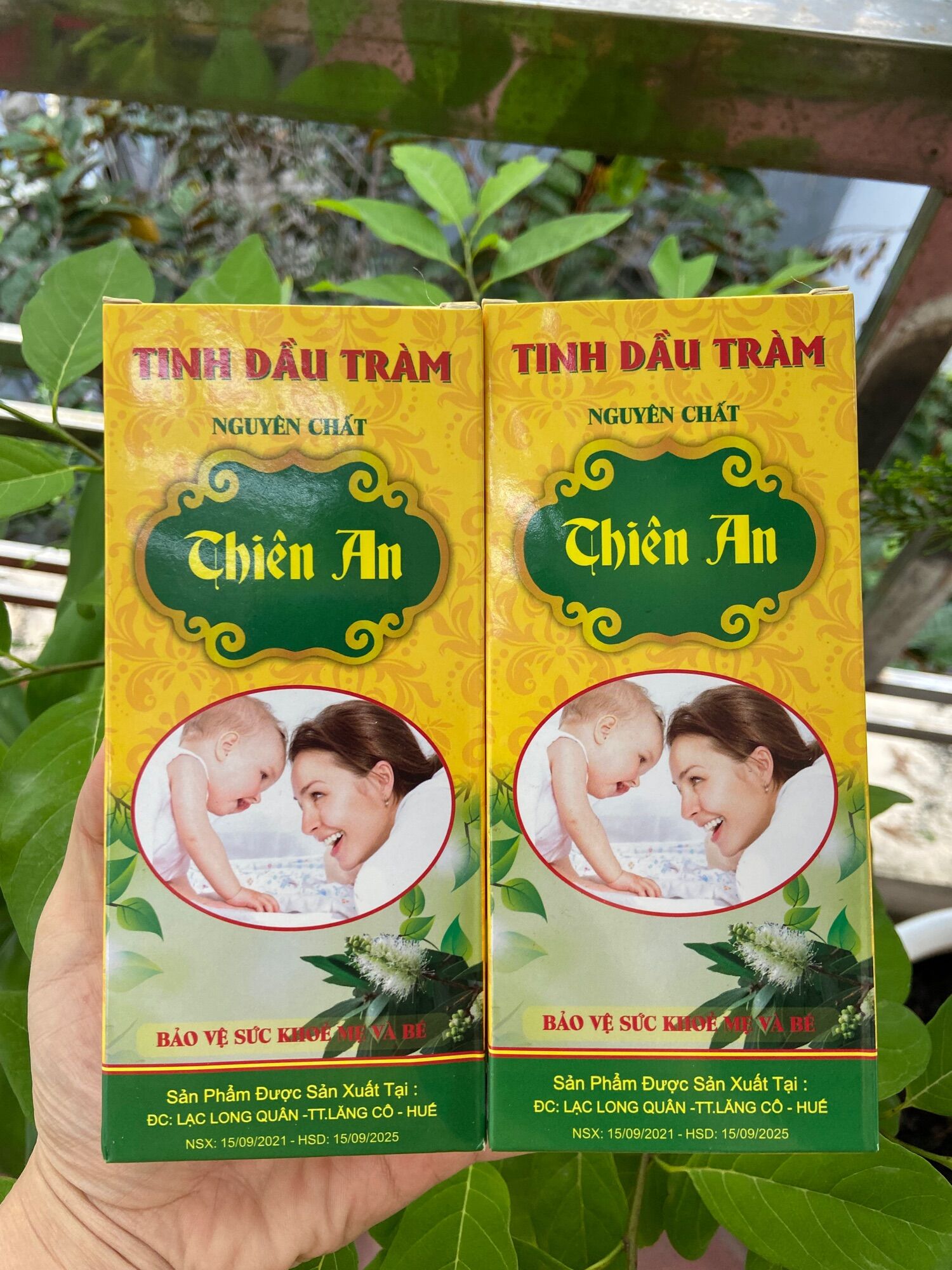 Tinh dầu tràm Thiên An gốc Huế