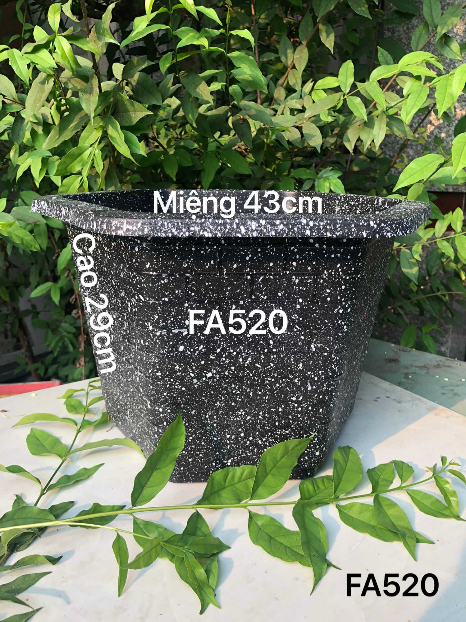 Chậu nhựa trồng cây 8 cái lục giác FA520 đá đen dày dặn