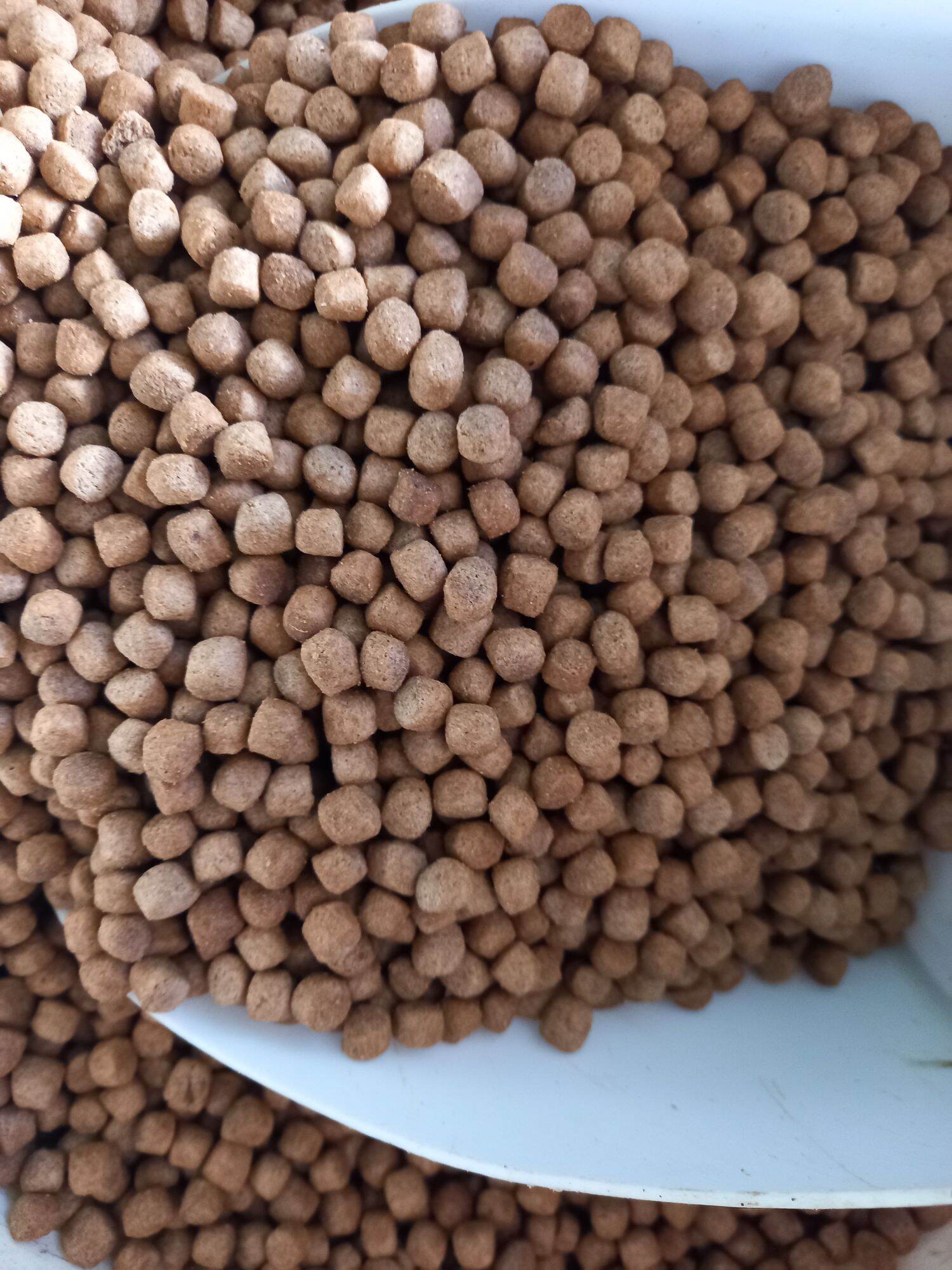 THỨC ĂN CÁ KOI, CÁ 3 ĐUÔI, CÁ CẢNH CÁC LOẠI ( 8LY 30% ĐẠM) 500gam/ bịt