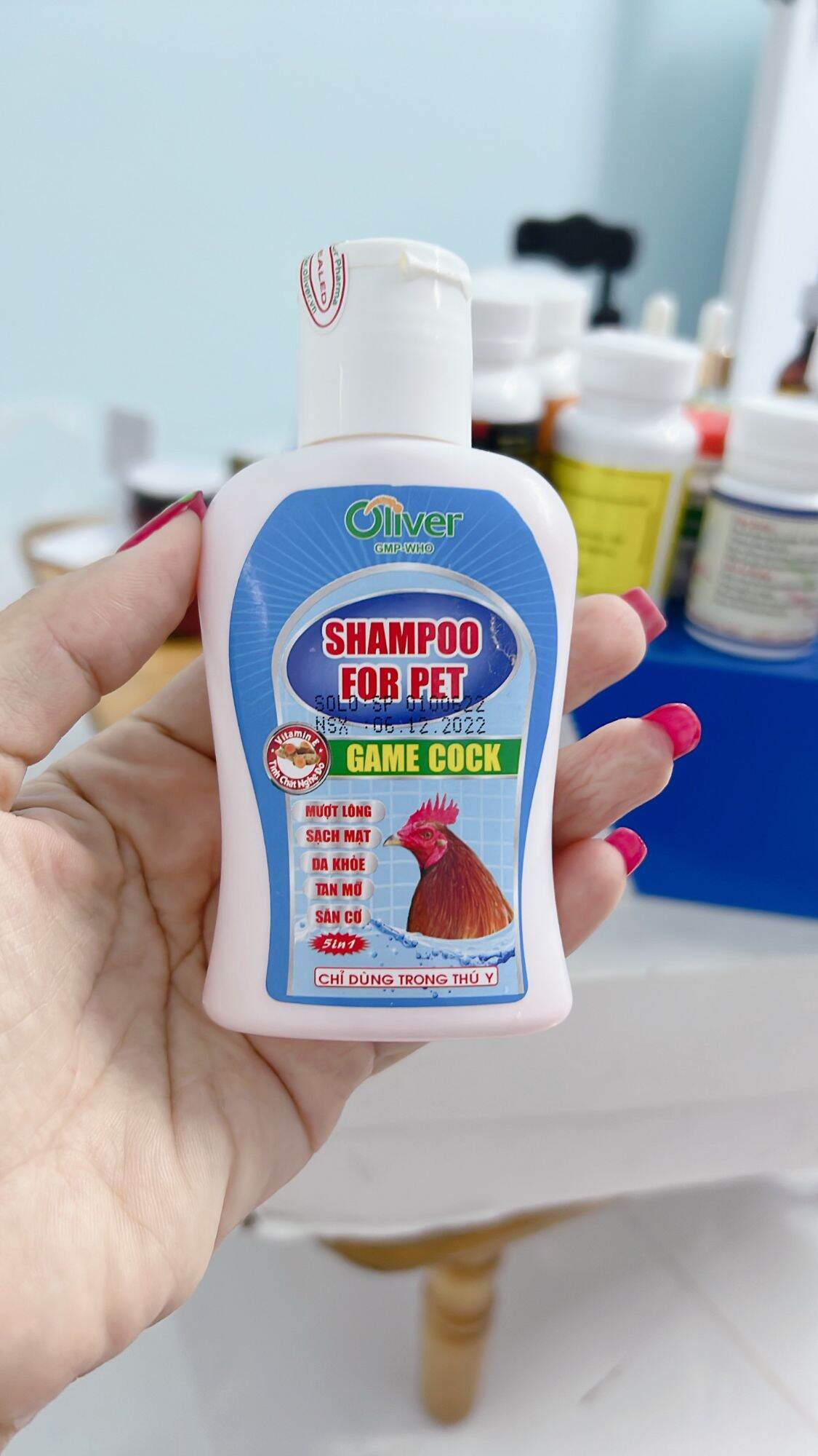 Chai tắm gà sạch mạt rệp, lông bóng mượt