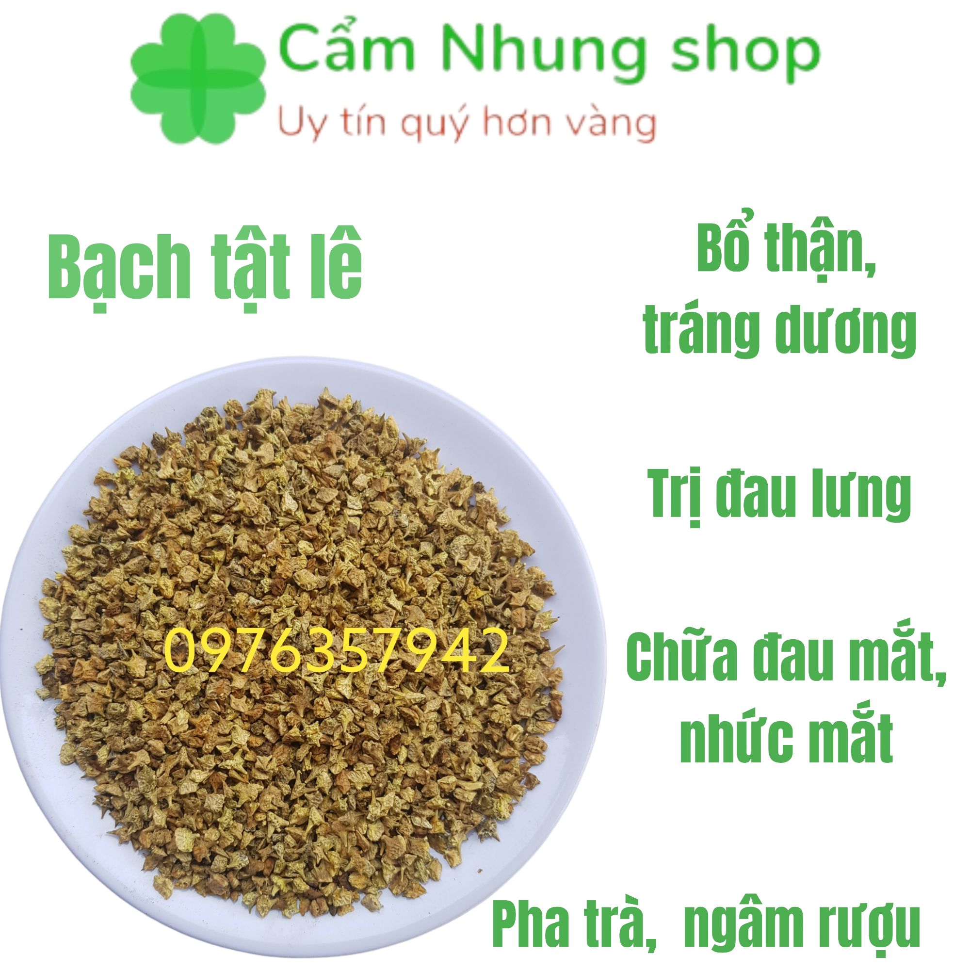 200gr trà bạch tật lê sao thơm giúp bổ thận tráng dương