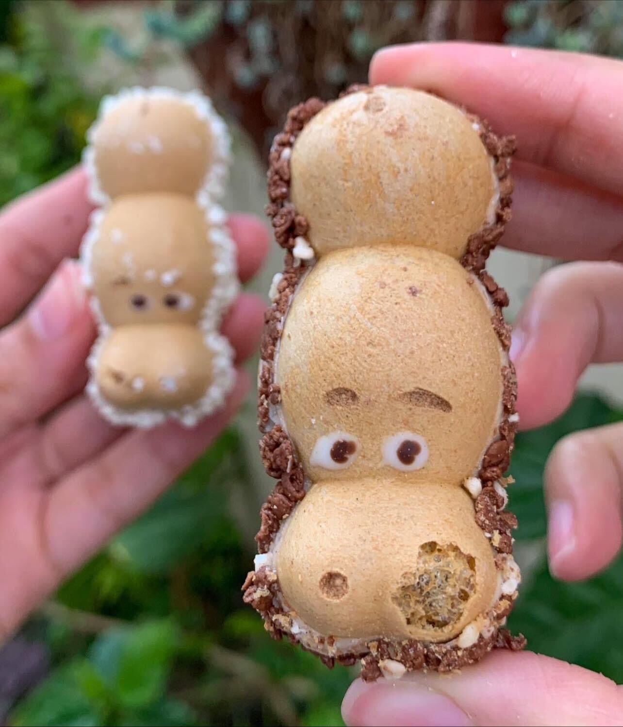 Bánh Sô-cô-la Kinder Hippo - Hàng Đức