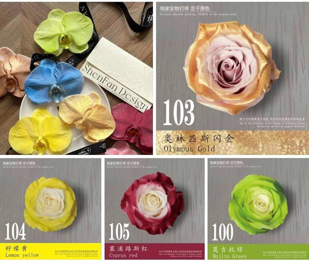 Sơn xịt hoa tươi