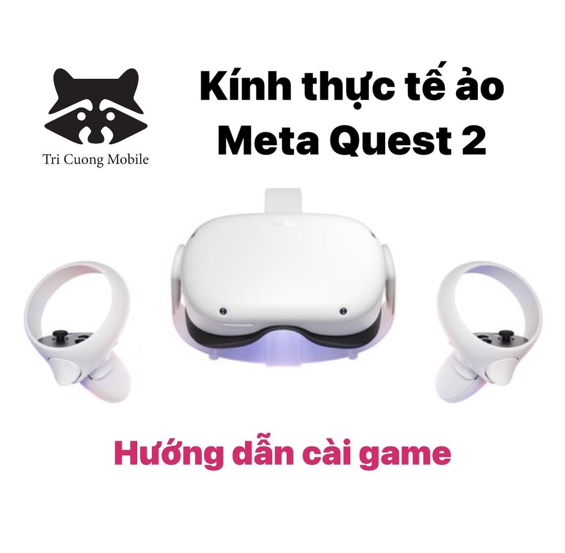 [HCM]Kính thực tế ảo Meta Quest 2