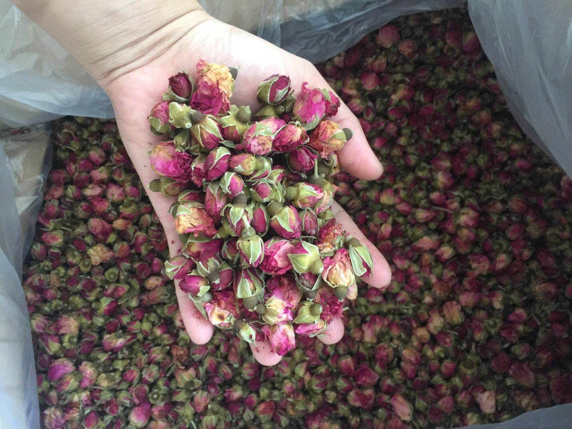 100gr trà hoa hồng khô đà lạt loại 1