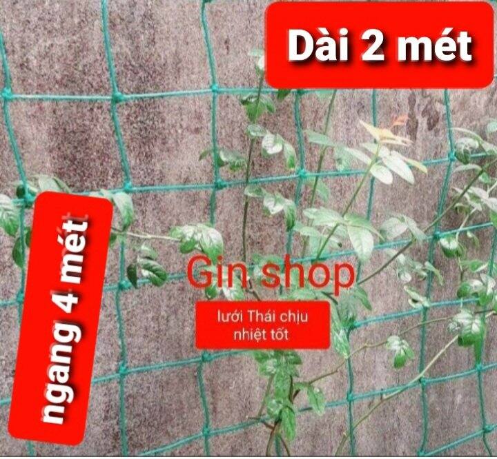 Lưới Thái làm giàn cây leo siêu bền 3_5 năm uy tín