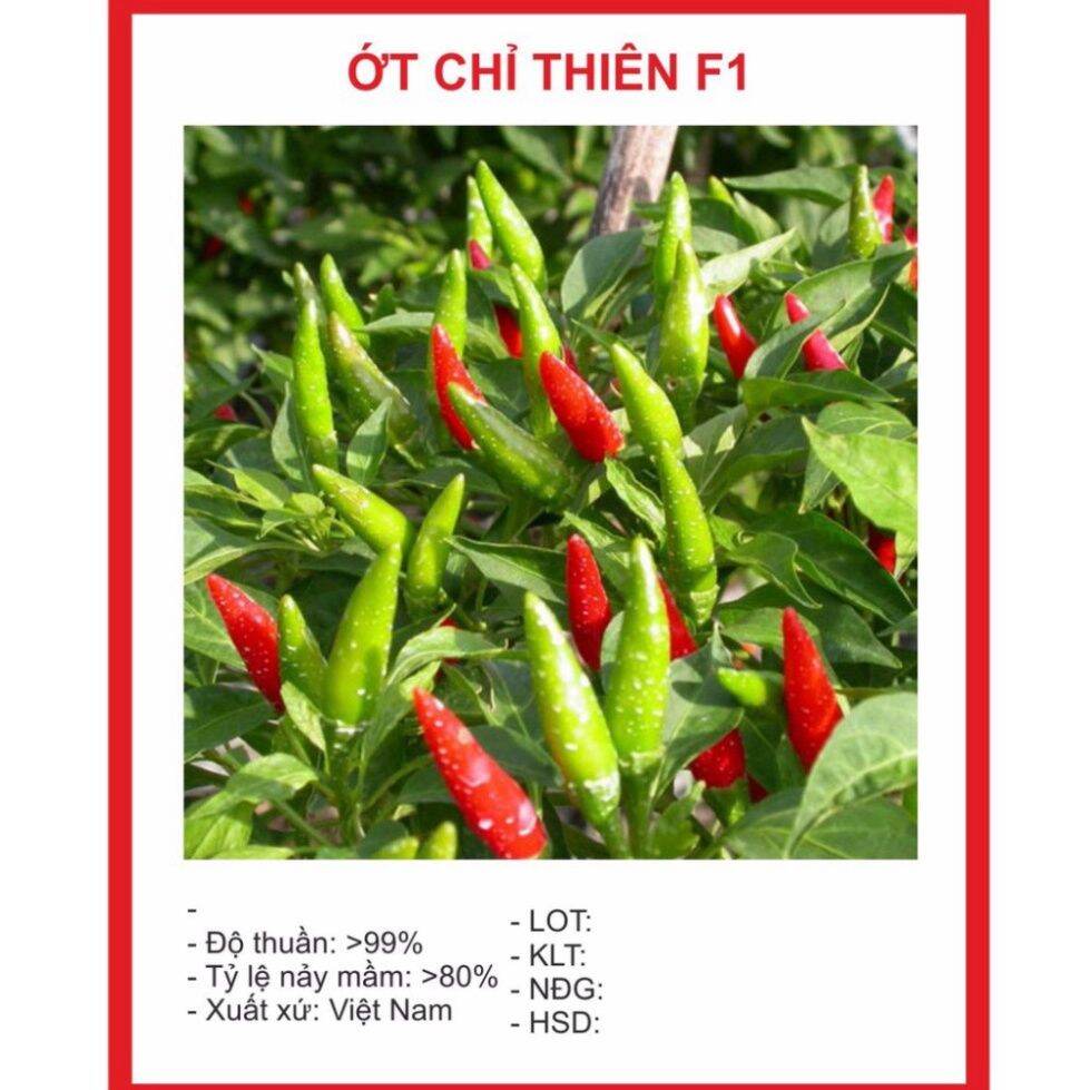 Hạt Giống Ớt Chỉ Thiên F1