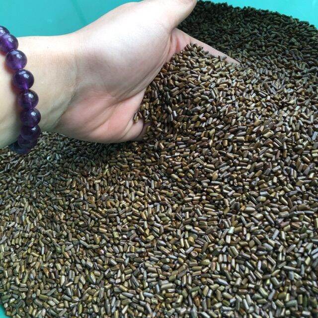 1kg hạt muồng muồng