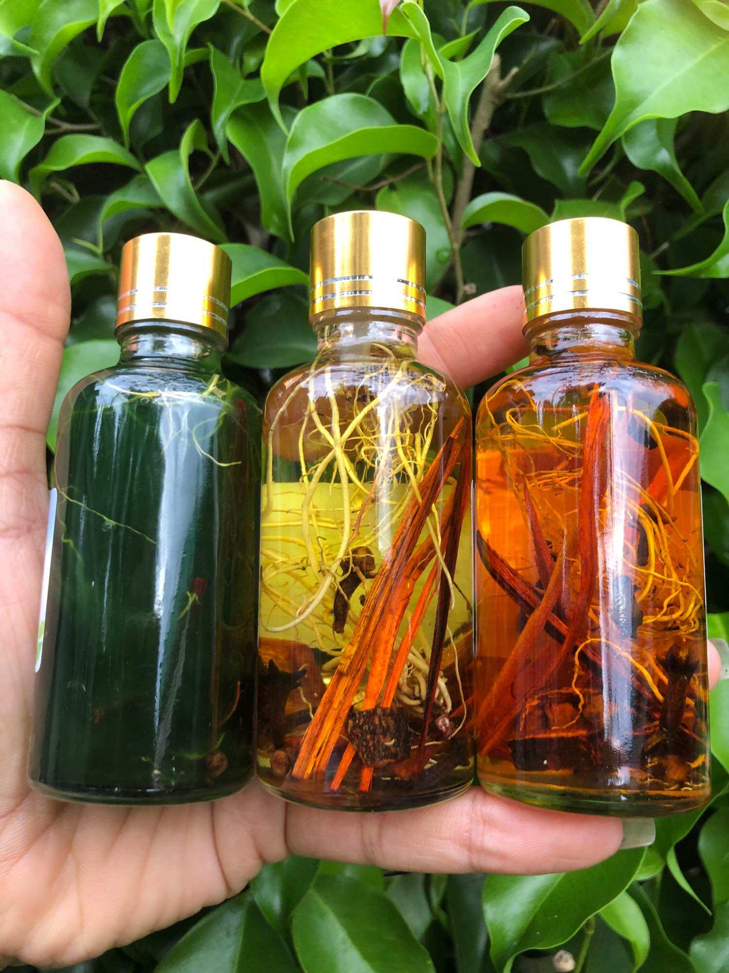 DẦU VIÊM XOANG VÀNG 50ML (RỄ THUỐC)