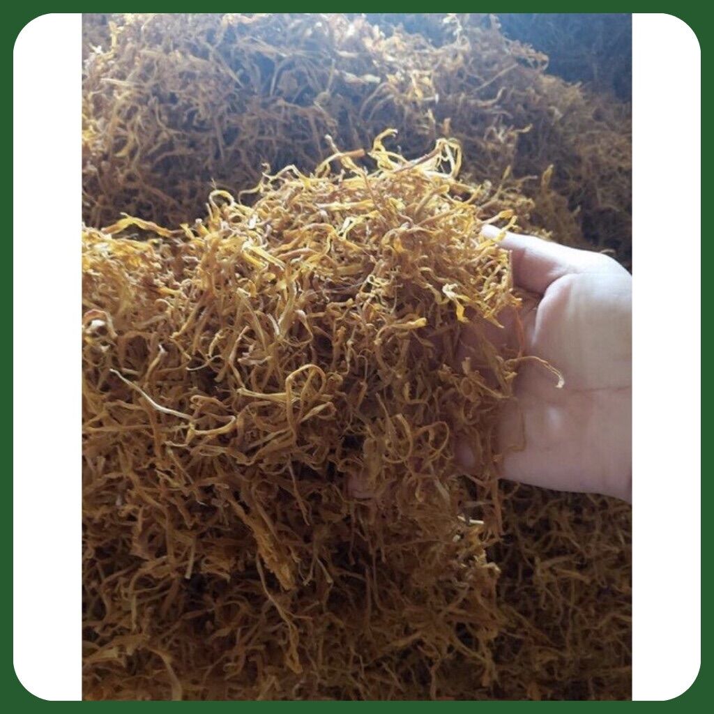 Măng xé khô sạch non giòn chất lượng 500GR
