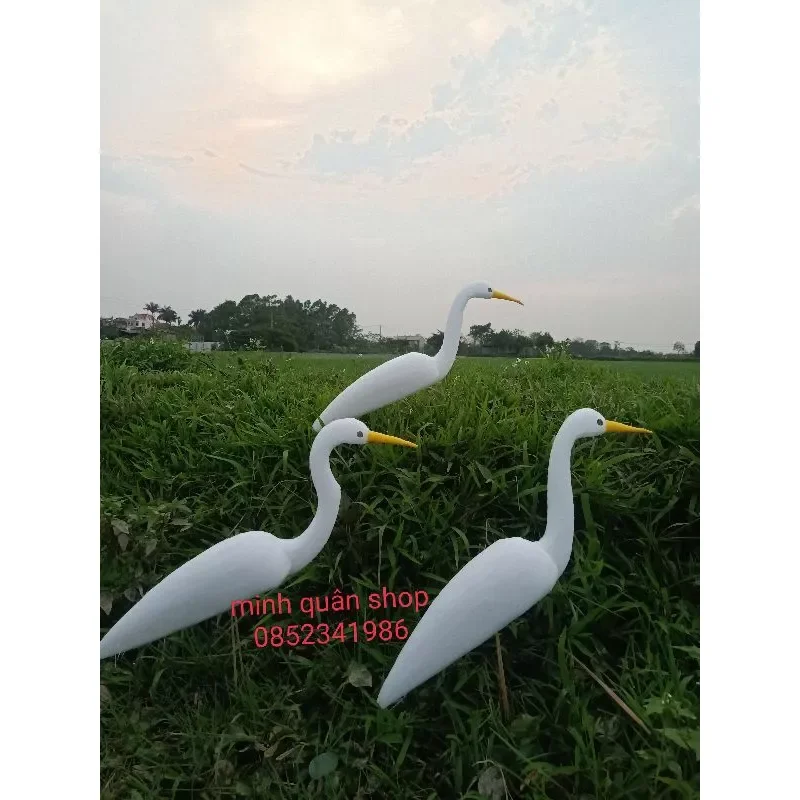 Combo 5 con cò xốp đệm dẻo