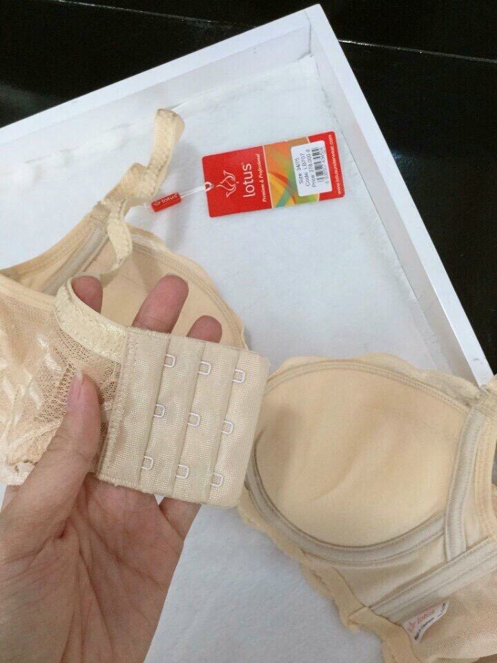 Áo ngực mút dày Lotus