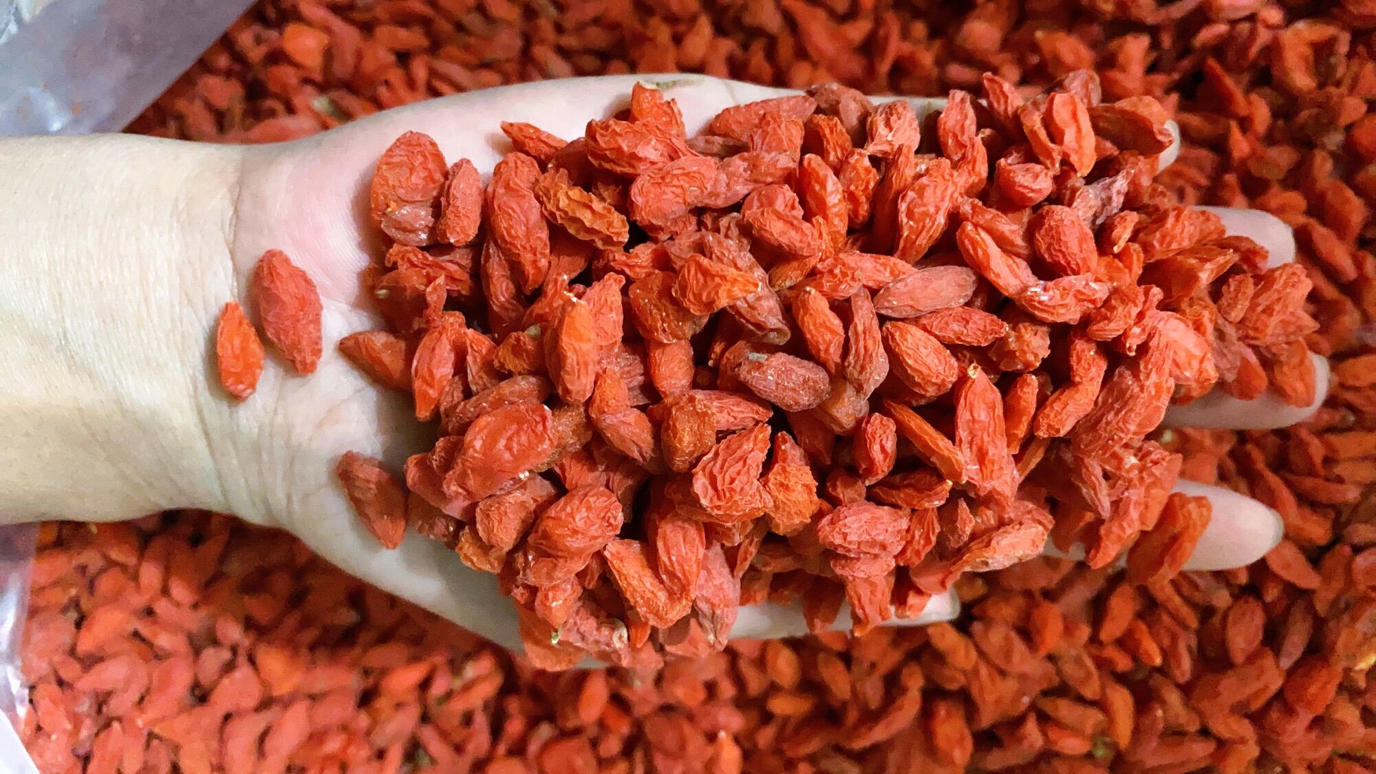 500G Kỷ tử Ninh Hạ siêu ngon
