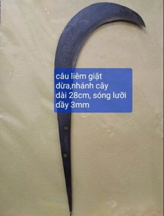 Câu liêm giật dừa, cành cây...