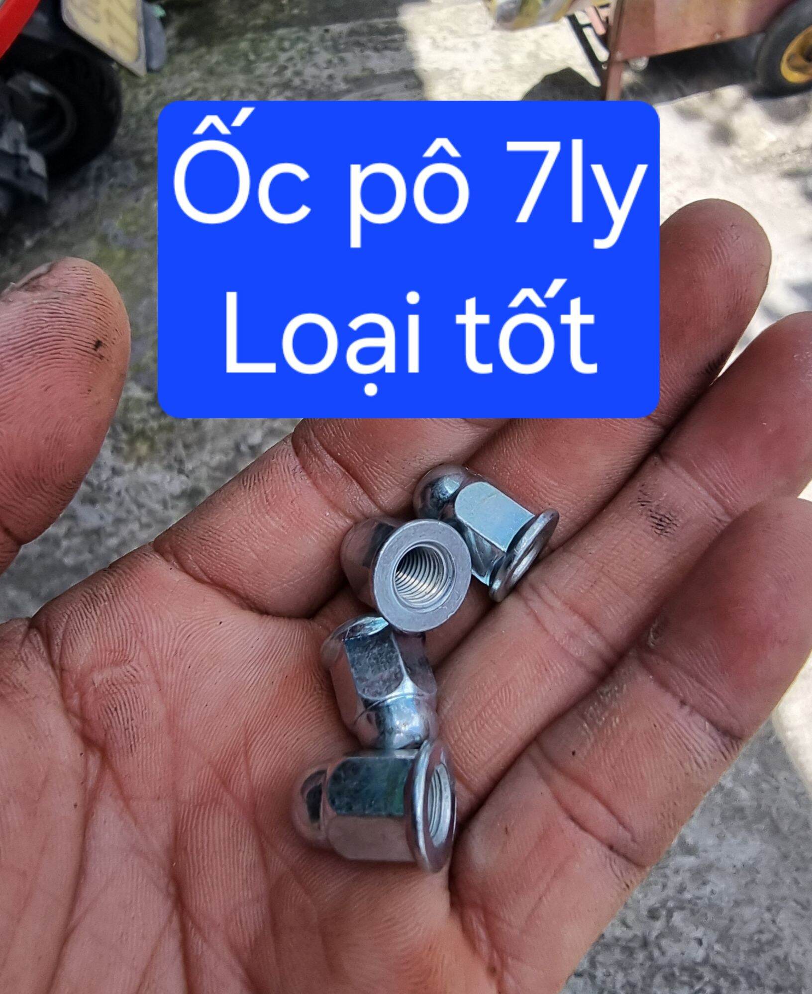 Ốc pô 7 ly (loại xịn) (10 con)