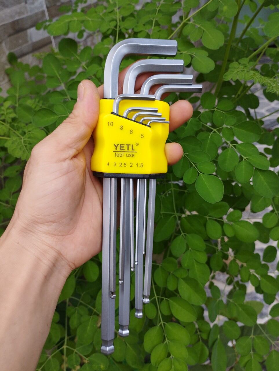 Bộ lục giác Bi hoặc Hoa Thị Yeti