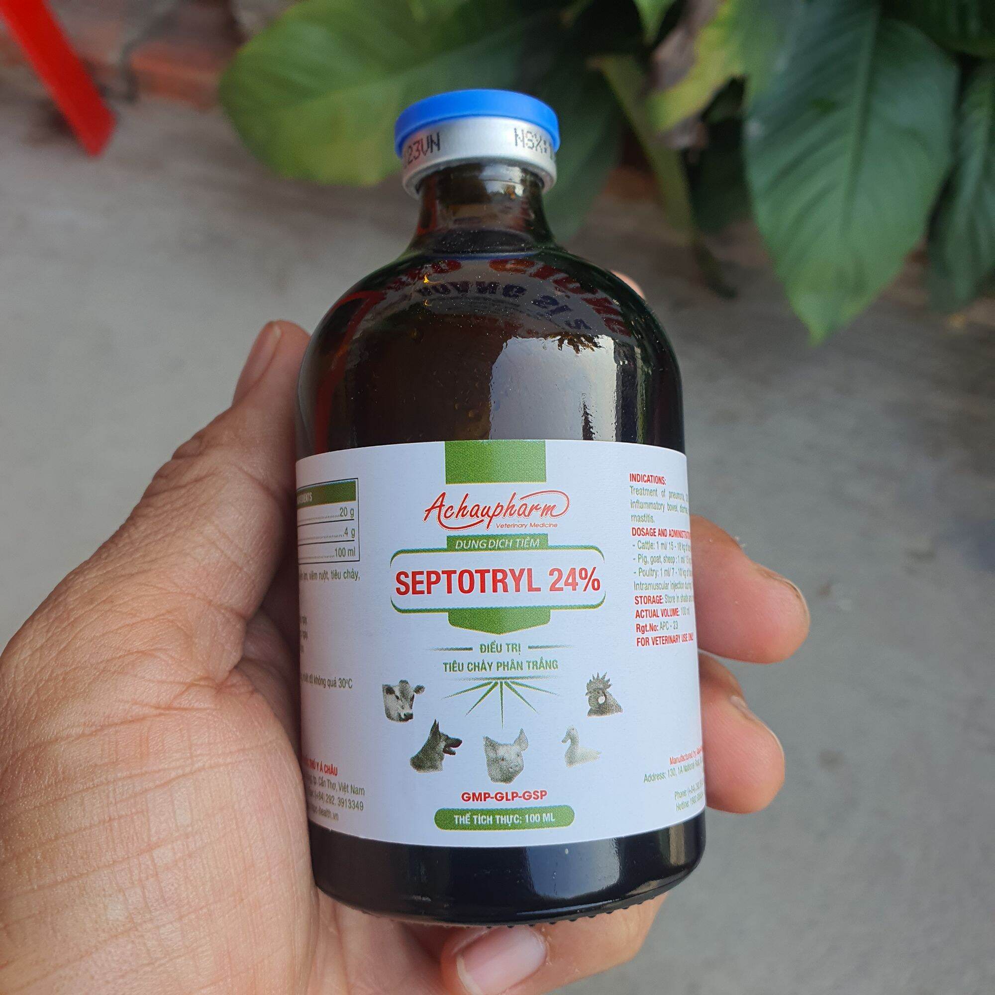 Septotryl 24% xử lý tiêu chảy phân trắng, dùng trong thú y