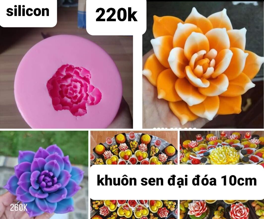 Khuôn silicon hoa sen đá 10cm