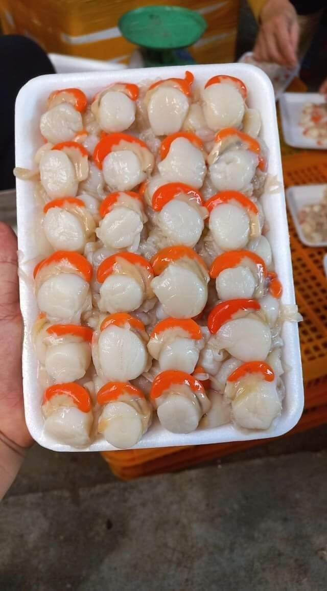 Cồi điệp trứng tách vỏ 1kg