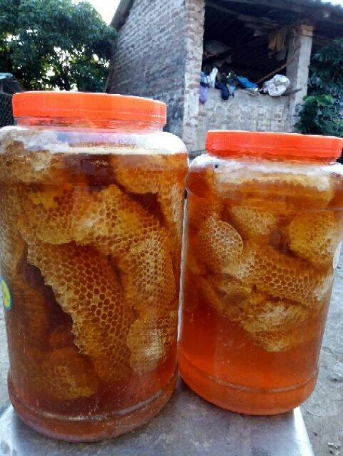 1kg Mật ong rừng nguyên sáp hảo hạng