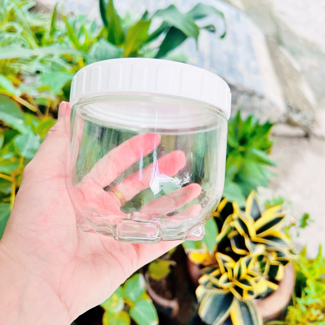 BỘ 3 HỦ THỦY TINH đựng gia vị hoặc đồ muối chua