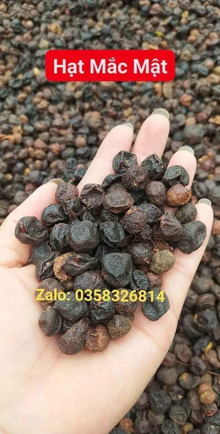 Hạt mắc mật 1kg