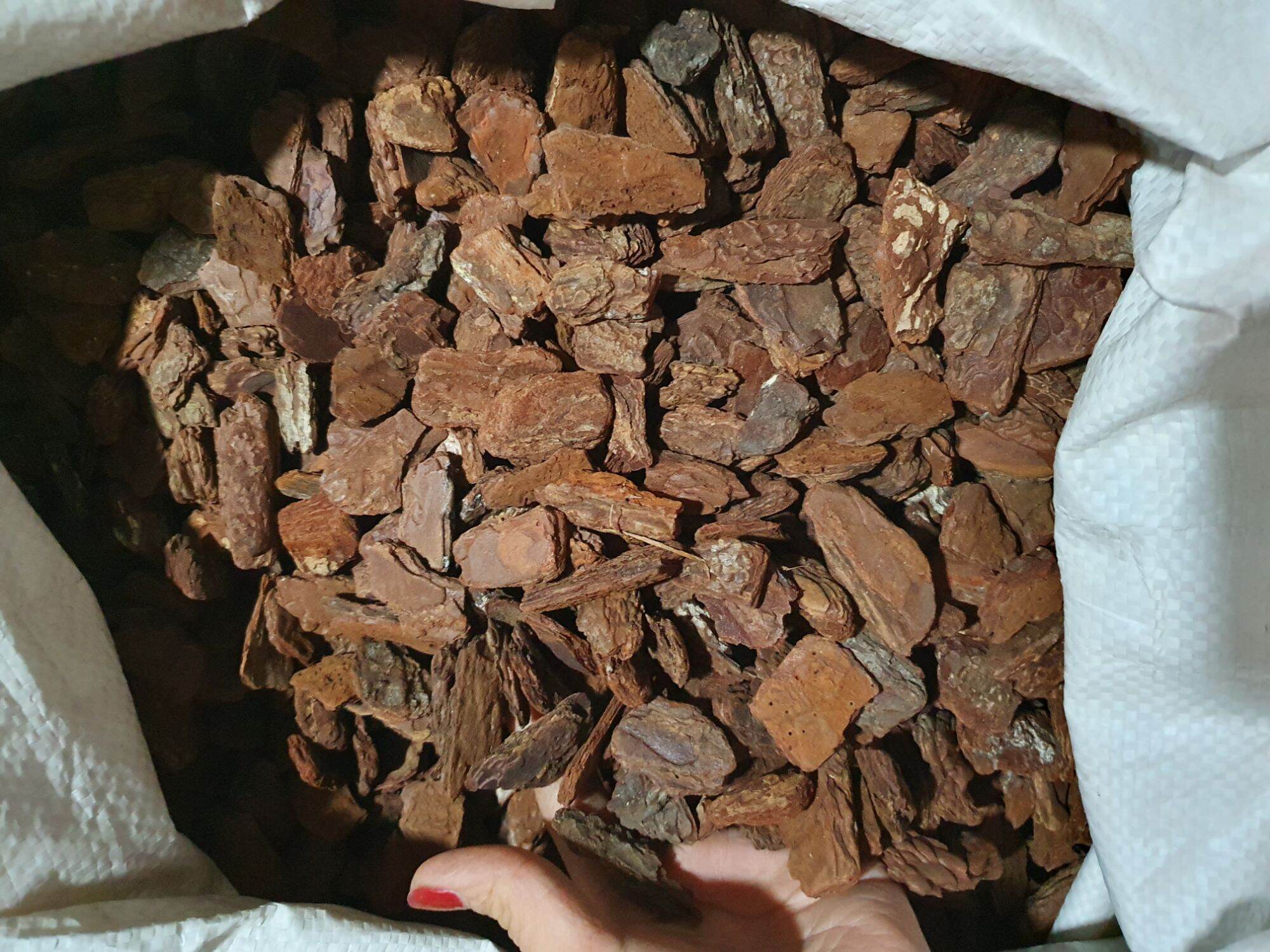 1kg vỏ thông 1-2cm trồng lan,vỏ thông đã qua xử lý, giá thể trồng lan