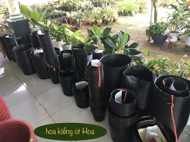 Chậu nhựa đen C13(35x29cm) trồng cây (hàng dày dặn)