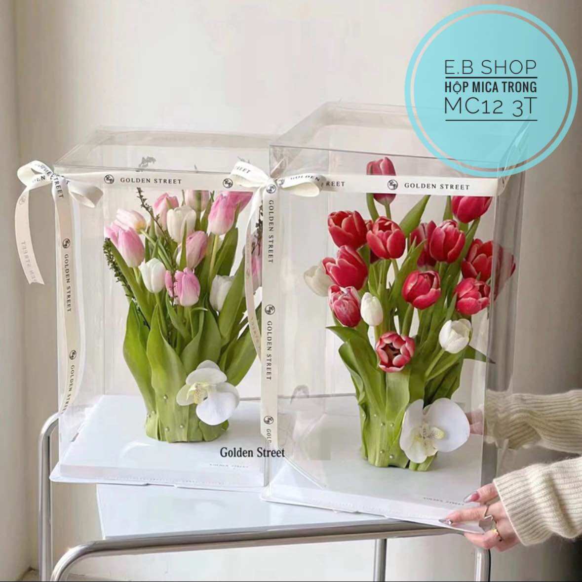 HỘP MICA TRONG CỠ LỚN CAO 60CM ĐỰNG BÁNH ĐỰNG HOA ĐỰNG QUÀ
