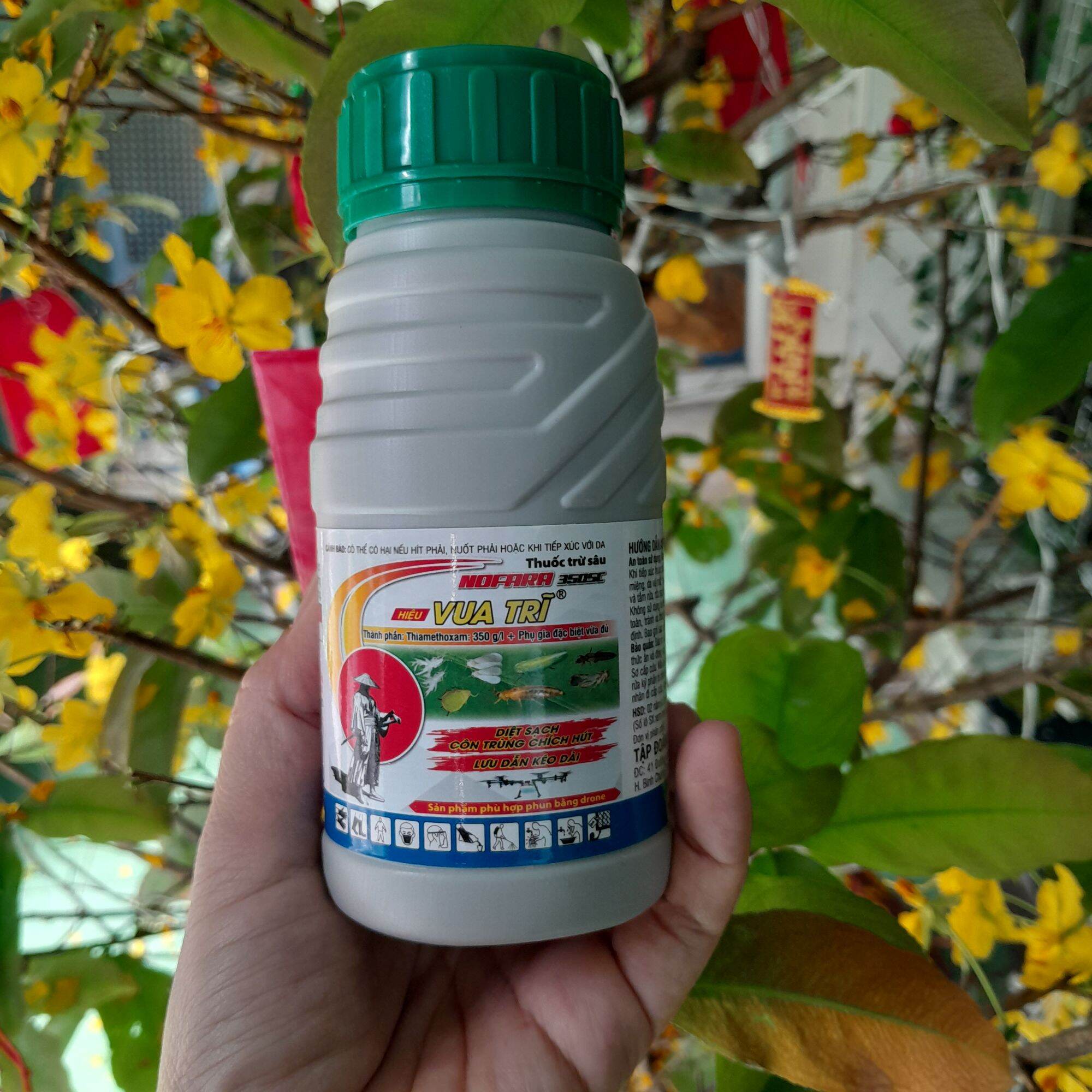 Thuốc trừ sâu Nofara 350SC Hiệu Vua Trĩ Chai 240mlthành phần thiamethoxam 350g/lđặc trừ rầy nâu trên