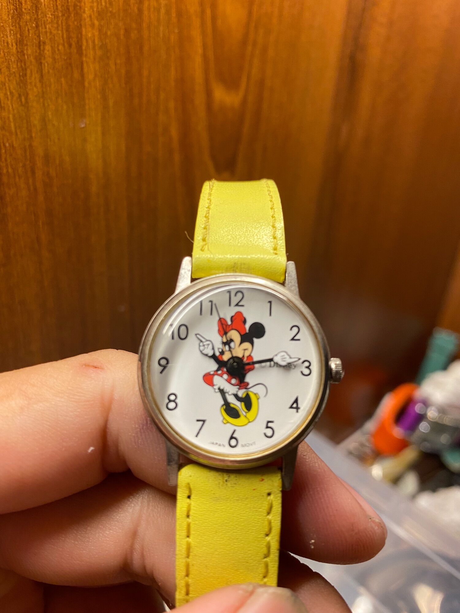 Disney japan