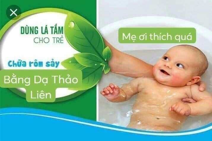 Lá TẮM RÔM- Dạ Thảo Liên