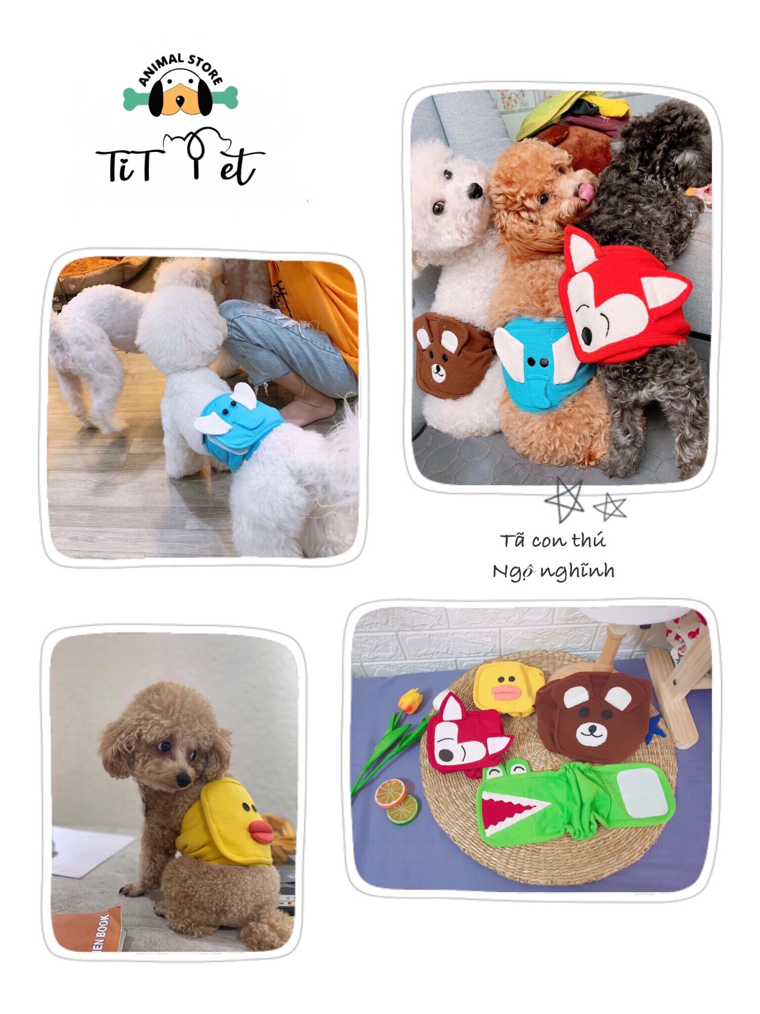 Tã quấn sinh lý cho cún đực