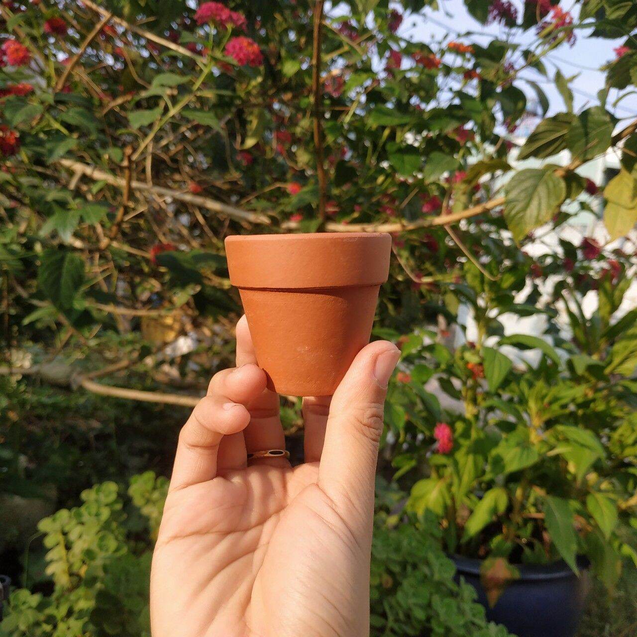 Chậu Đất Nung Mini 5x5 Cm, Chậu Trồng Sen Đá, XR