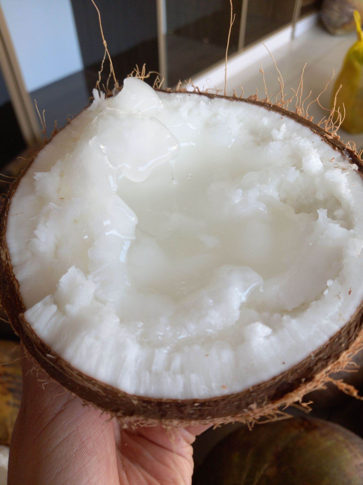 Dừa Sáp Cầu Kè Loại 1 Đặc Biệt (Nhiều Size)
