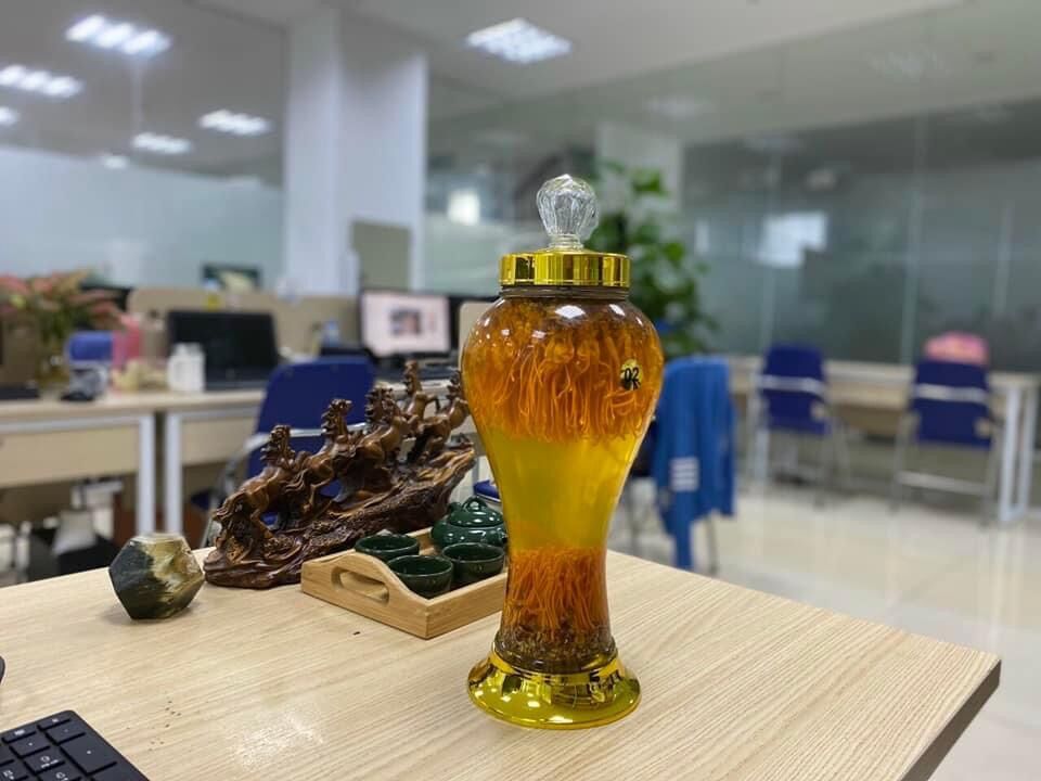 Đông trùng hạ thảo tươi ngâm rượu 2000ml