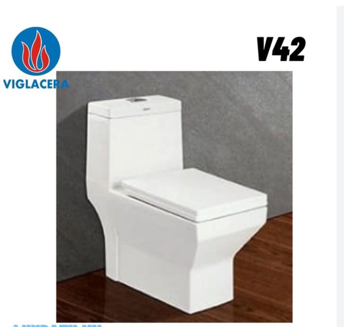 Nắp đậy Bồn Cầu Một Khối Viglacera V42 Nắp Êm kt 360x460mm ( Rộng x Dài)