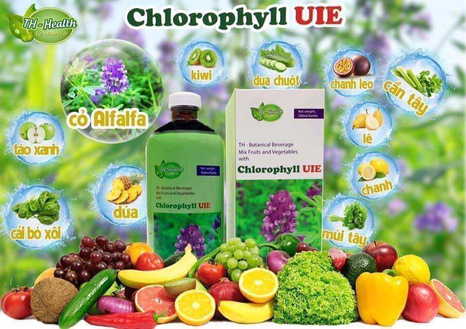 🌳🌳🌳Diệp lục TH Health - Cho mùa hè thanh mát