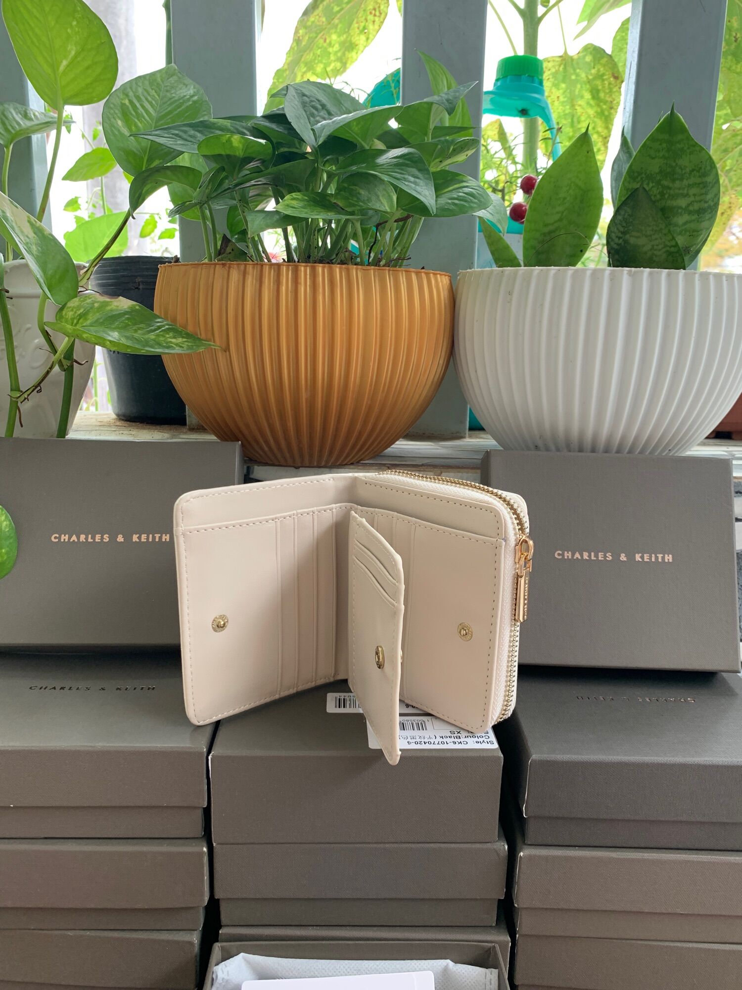 Ví CHARLES & KEITH Màu trắng kem