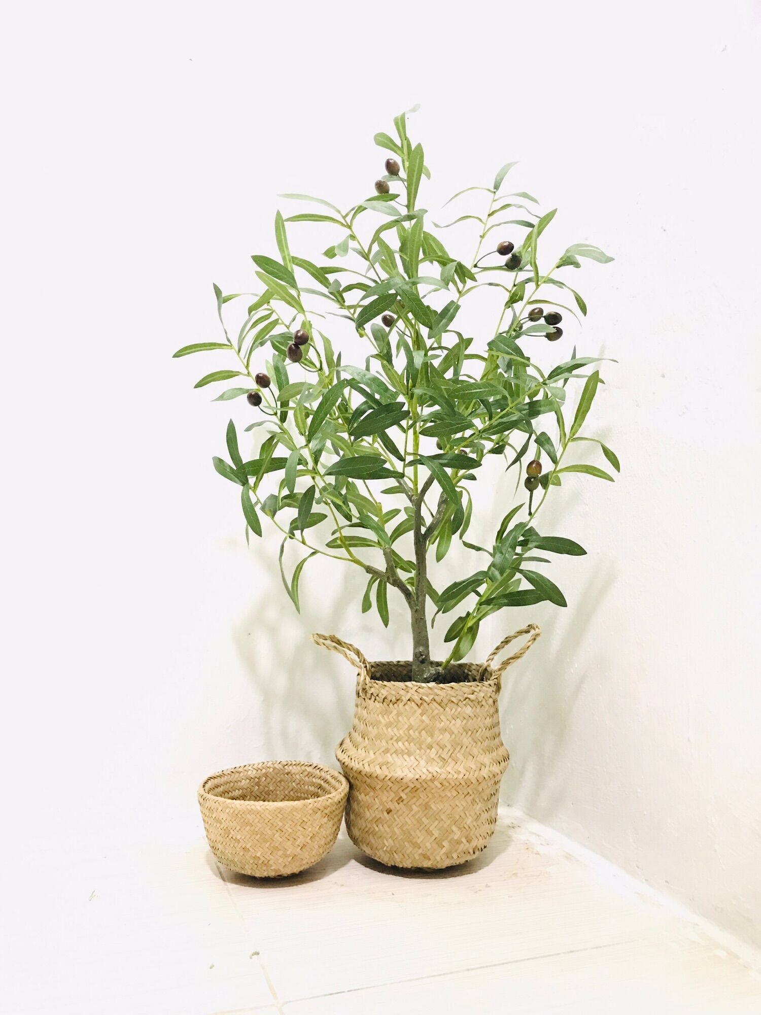 cây oliu - cây ô liu giả 85cm - hằng decor