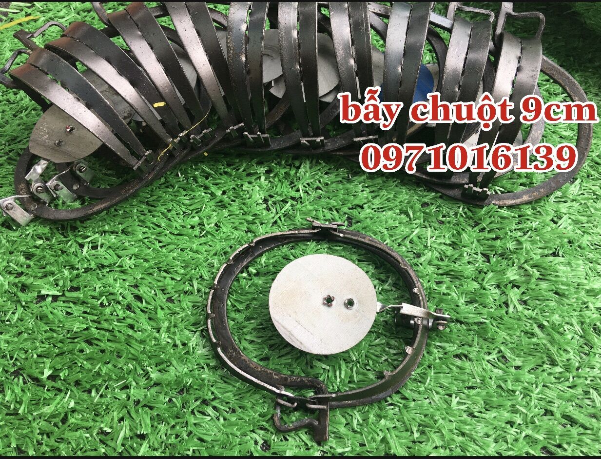 10 CẠM BẪY CHUỘT 9CM