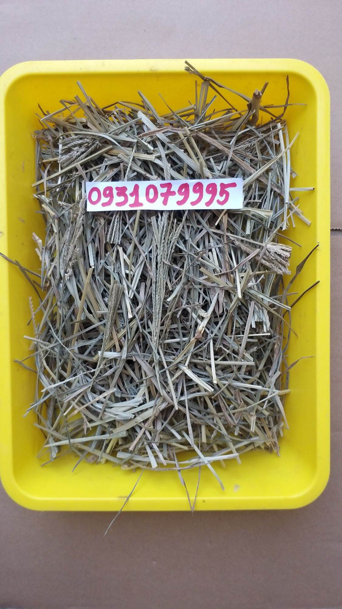 cây cỏ mần chầu phơi khô 1kg
