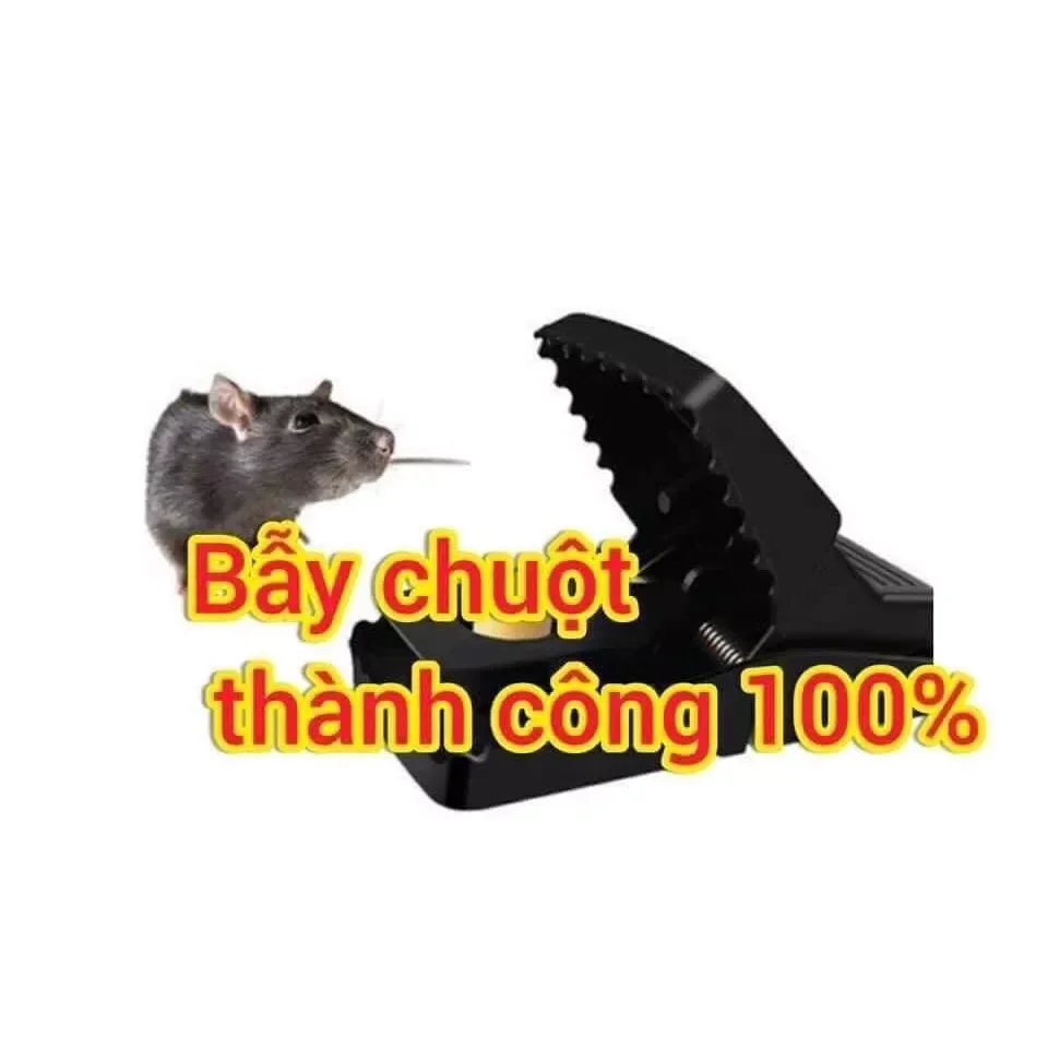 KẸP CHUỘT SIÊU NHẬY(bẫy chuột cống . chuột nhà)