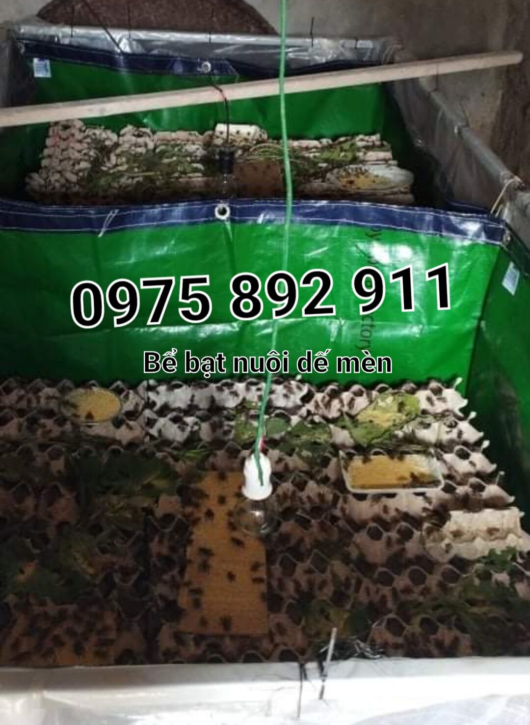 Bể bạt nuôi dế mèn 2x1x05 ( xanh bộ đội )