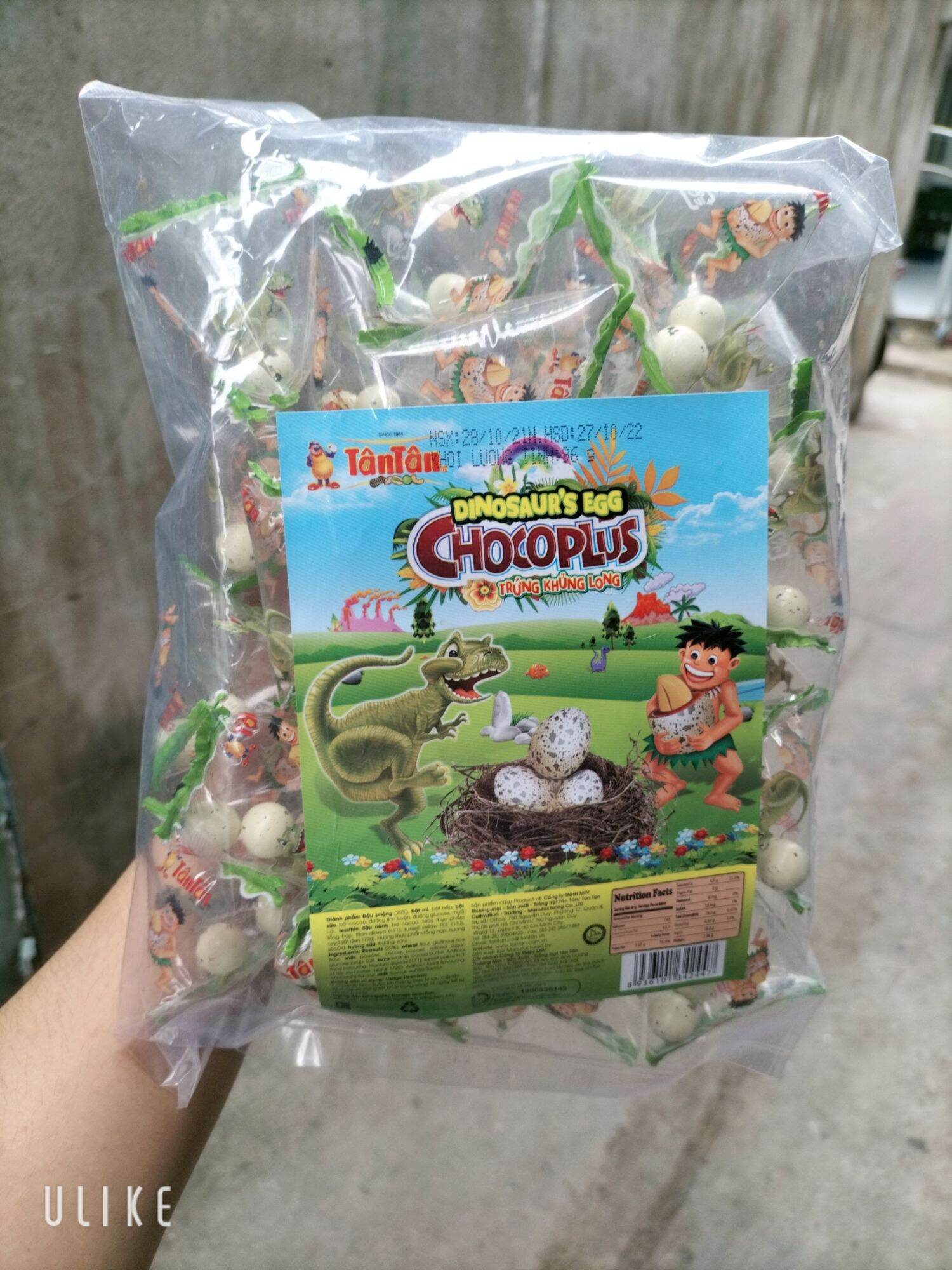 Tan chocolate plus dinosaur egg