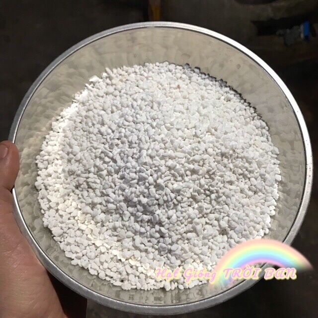 Đá perlite -đá trân châu siêu nhẹ 🥰🥰🥰 tốt cho chất nền trồng cây 🥰🥰🥰
